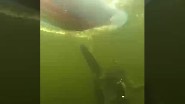 Привет фобия 🤪