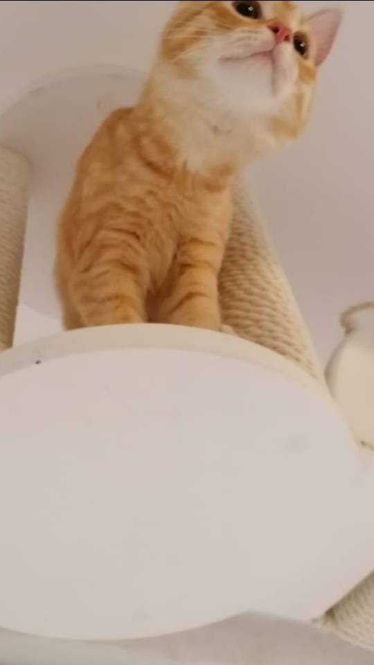 Мечты сбываются)))❤