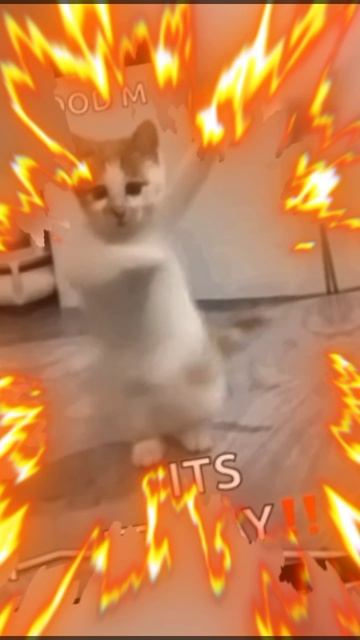 кото танцы