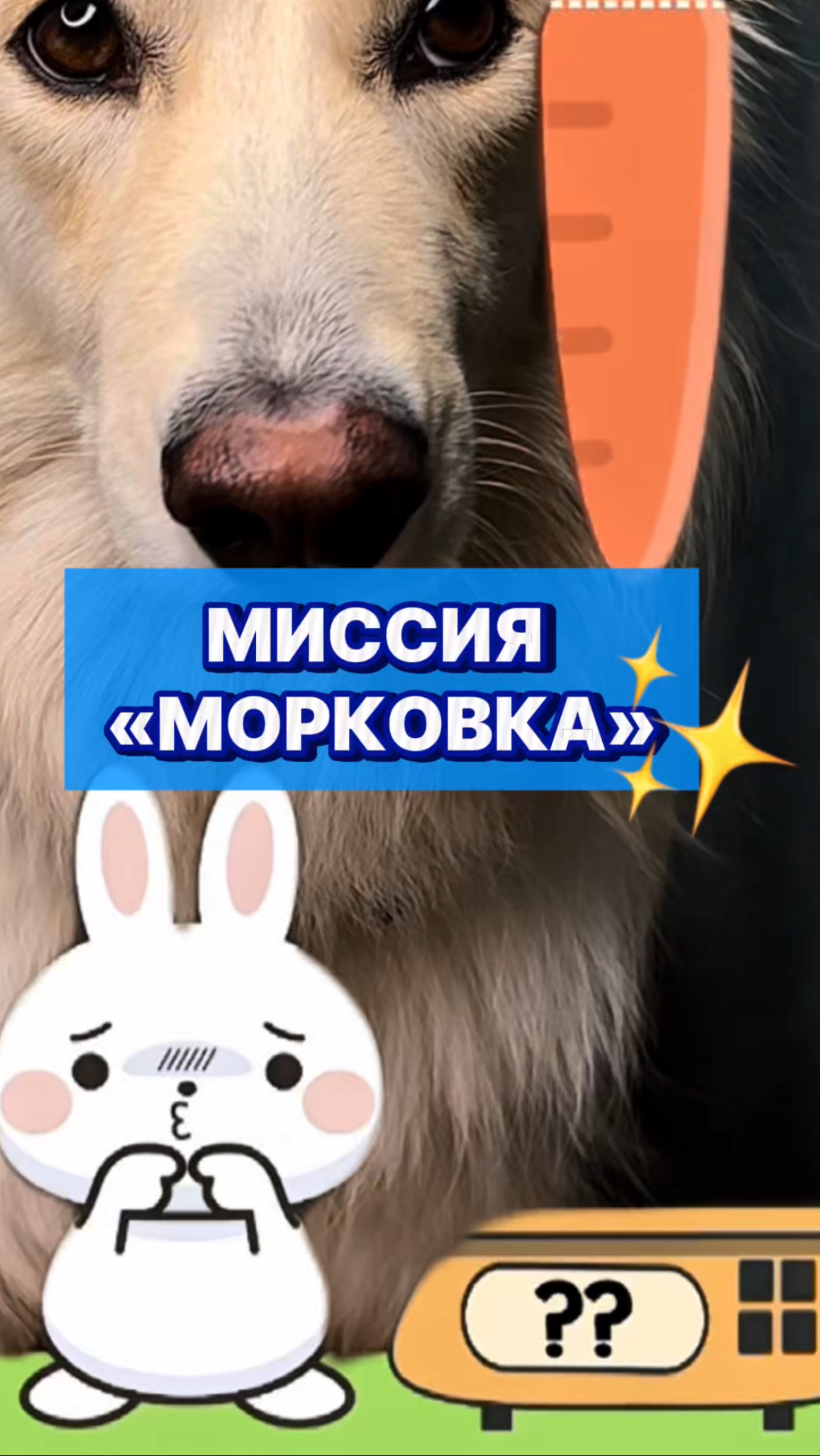Помоги зайчику вместе с Луной 🥕🐰 #собака #животные #питомцы #игры #детям #развлечения