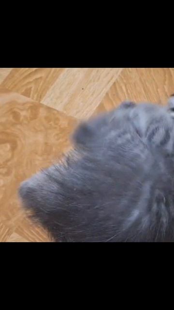 10. 