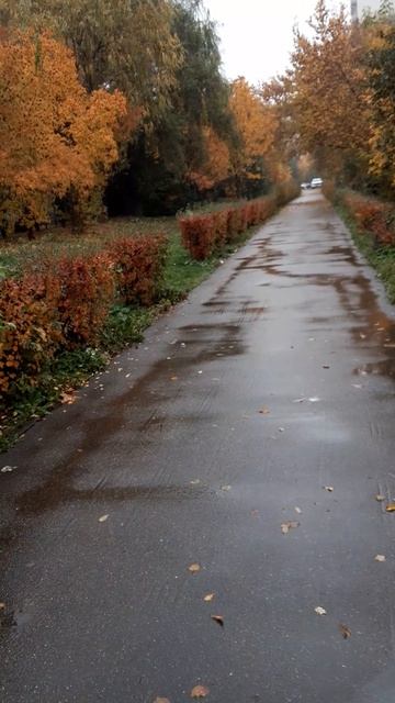 Осенняя аллея