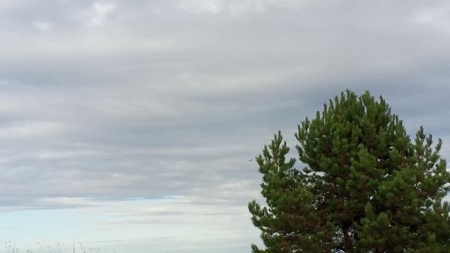 САМОЛЁТ ✈️