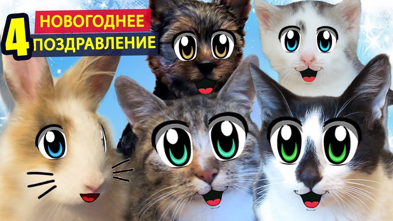 НОВОГОДНЕЕ ПОЗДРАВЛЕНИЕ ОТ КОТА МАЛЫША И КОШКИ МУРКИ [2018]