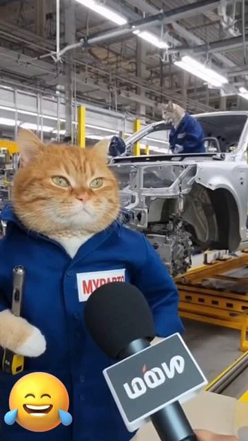 🤣 у вас какого года двигатель? Коты автопроизводители.