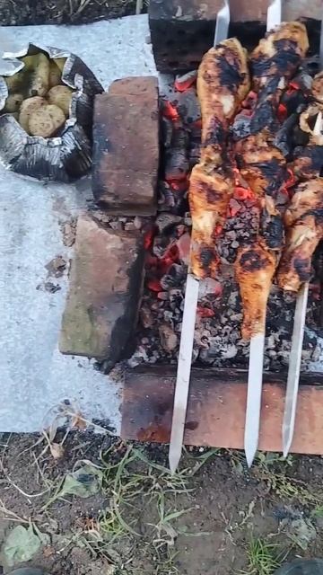 Мы Приготовили Курицу На Костре И Картошку