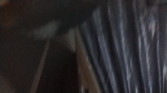 йоу я бублик я бандита сын