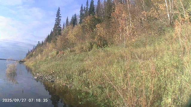 MOV00037