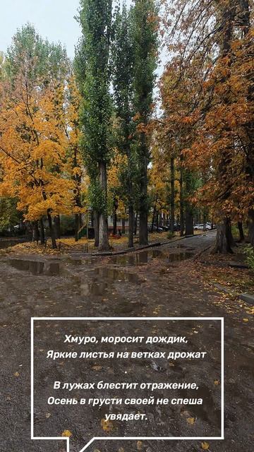Хмурая осень.