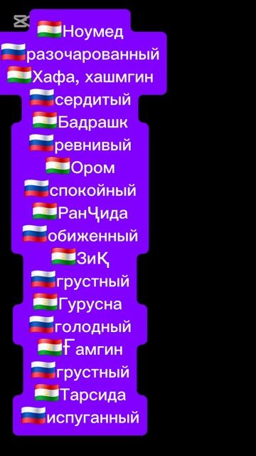 руский таджикиский силовар