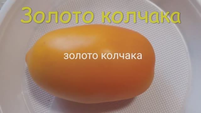 Каталог томатов 2025 г. Часть 6. Проверенные сорта.  г. Киров.