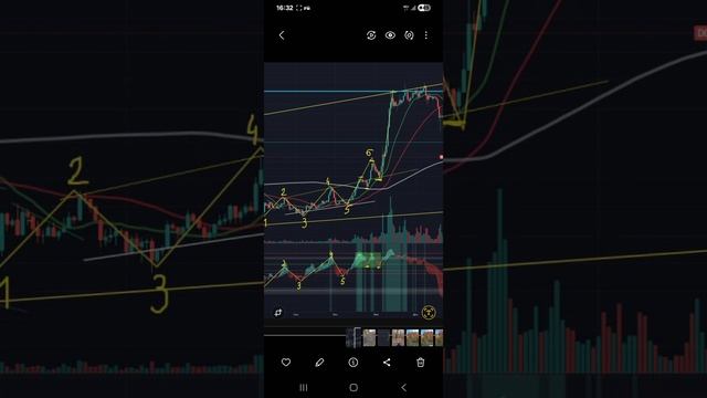Обвал крипторынка. Последняя возможность вернуть потерянное.