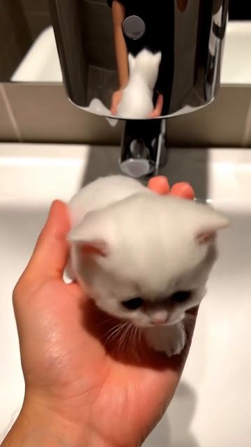 Чудо природы