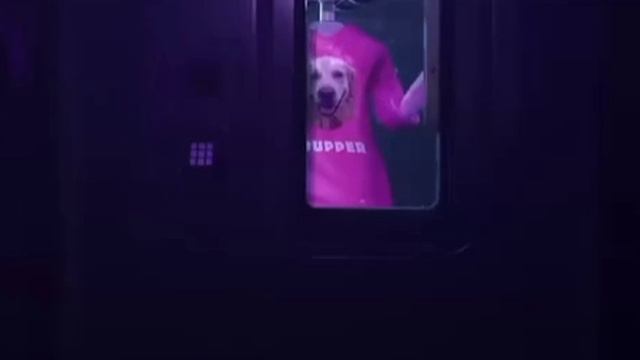 #Uzi #N