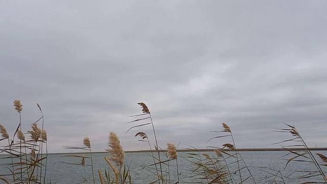 Охота на северную утку гоголя !!!
