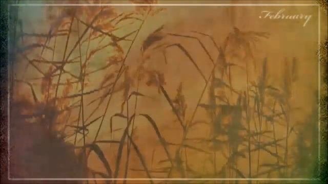 Ольга Павенская - Я жду тебя