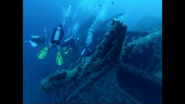 ДАЙВИНГ. ДОМИНИКАНА. ОСТРОВ КАТАЛИНИТА .КАРИБСКОЕ МОРЕ