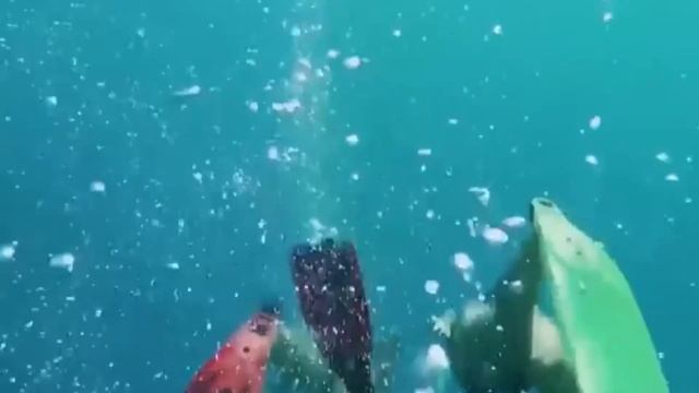 1000008221.mp4
