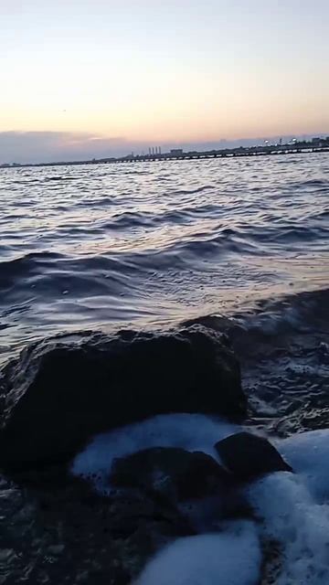VID_20250822_194509.mp4