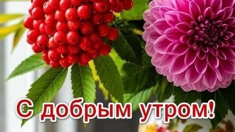 Доброе утро💖 Прекрасного настроения🌝 Отличных выходных💖🎀
