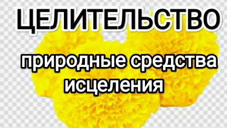 Природные средства исцеления человека! #макарий