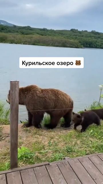 Курильское озеро, было страшно 🥴