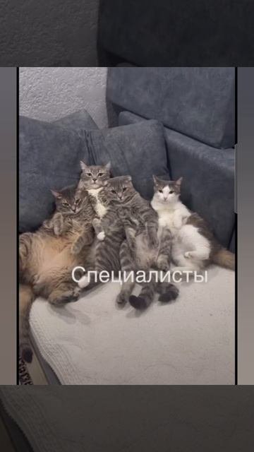 Позитивчика вам #позитив