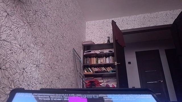 новое оружие чек