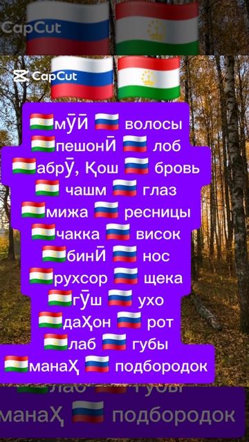 руский таджикиский силовар 🇷🇺 🇹🇯