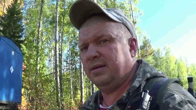 Пеший поход по угодьям.Быки борзуют.