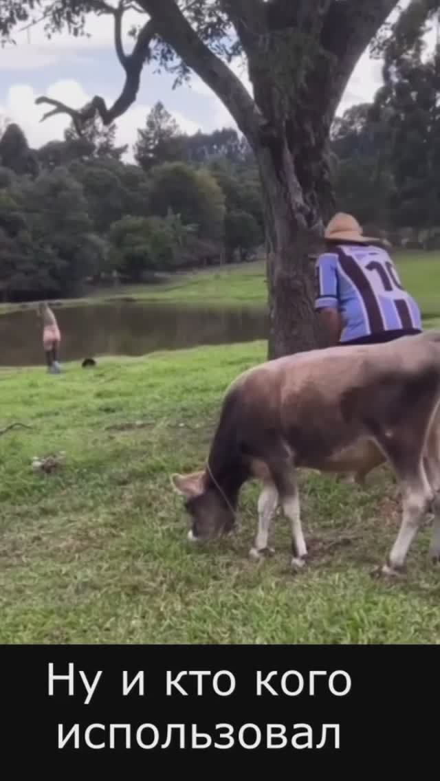 Ну и кто кого использовал?😂