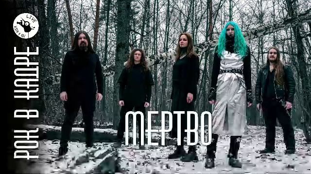 Виталий Сурков и Рок в кадре Live