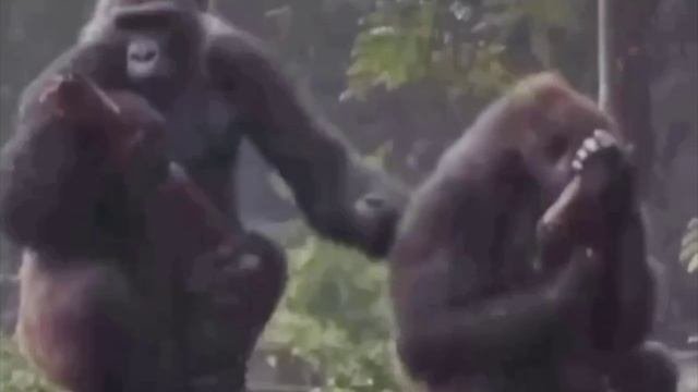 Диалог между мужем и обиженной же... 🙉🙈🙊