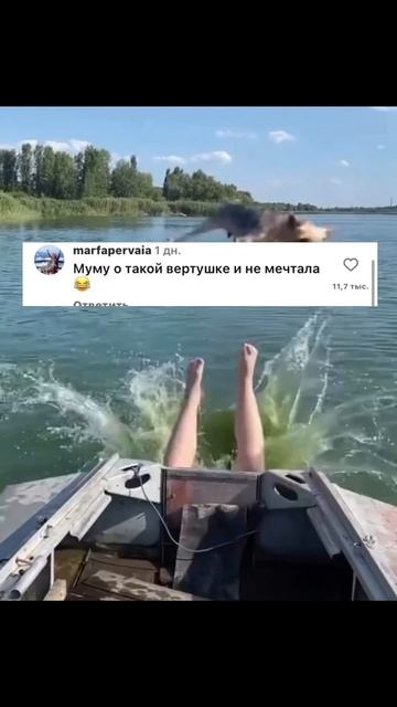 Собачка такого удара не ожидала! #животные #собаки #кошки #котята #природа #смешные ролики #приколы