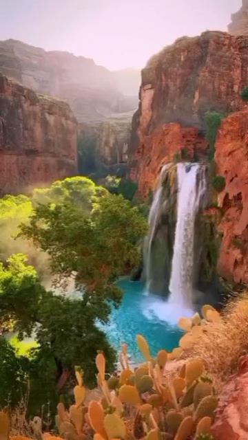 YouCut_20251011_124121463.mp4