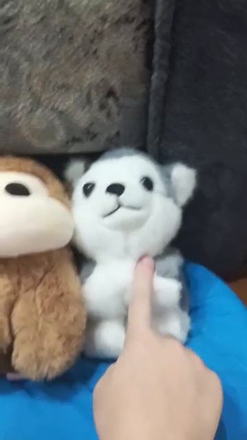 кого мне взять в город (пишем быстрее пжт)