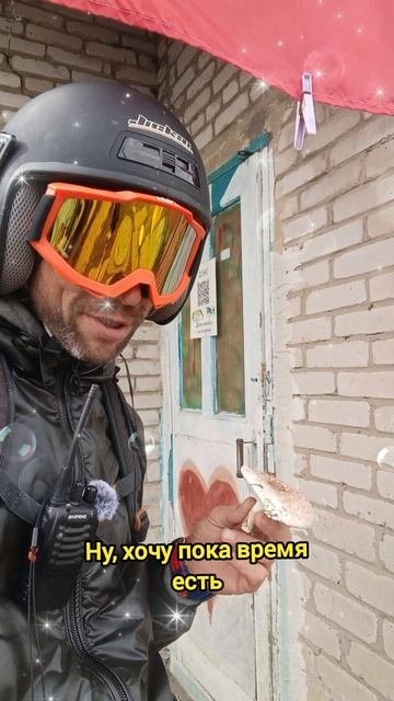 Грибные истории Садки