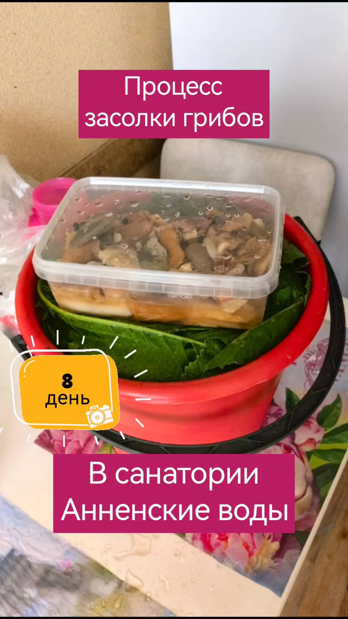 Засолка грибов. Отдых в санатории. Анненские воды: День 8. Влог.