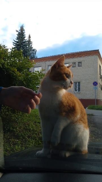 Не трогай меня!
