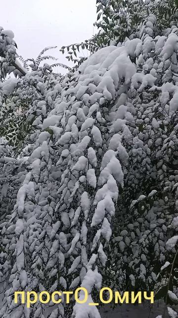 Первый день зимы. Омск. 10.10.2025.