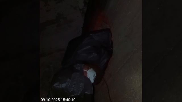 Бештау 31