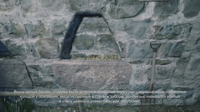 Vovnushki_Web