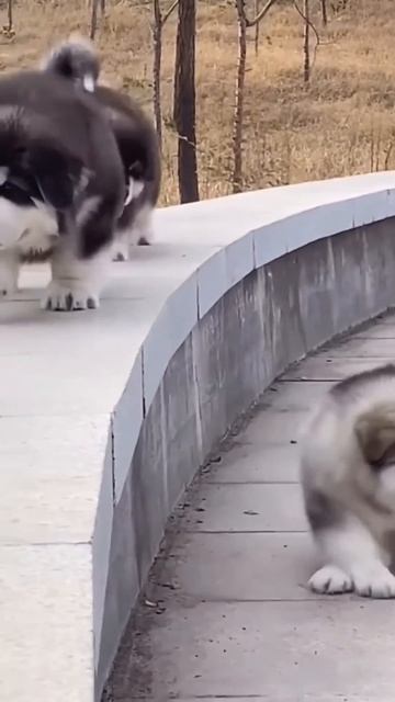 7358.mp4