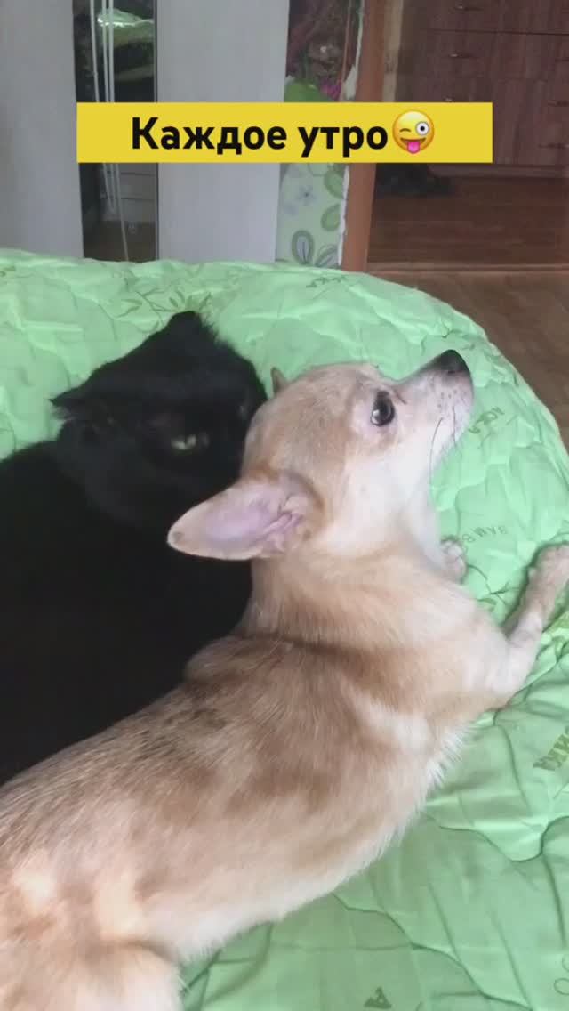 И не только утро😁