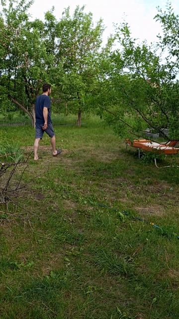 Собака Ротвейлер Изольда