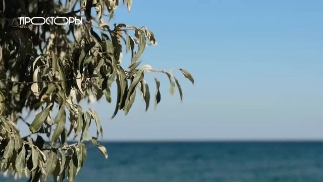 По волнам- Просторы Крыма