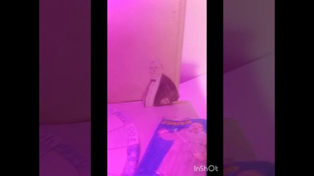 Поле чюдес из бумаги и всякого другого