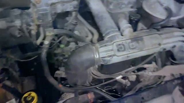 1000020930.mp4
