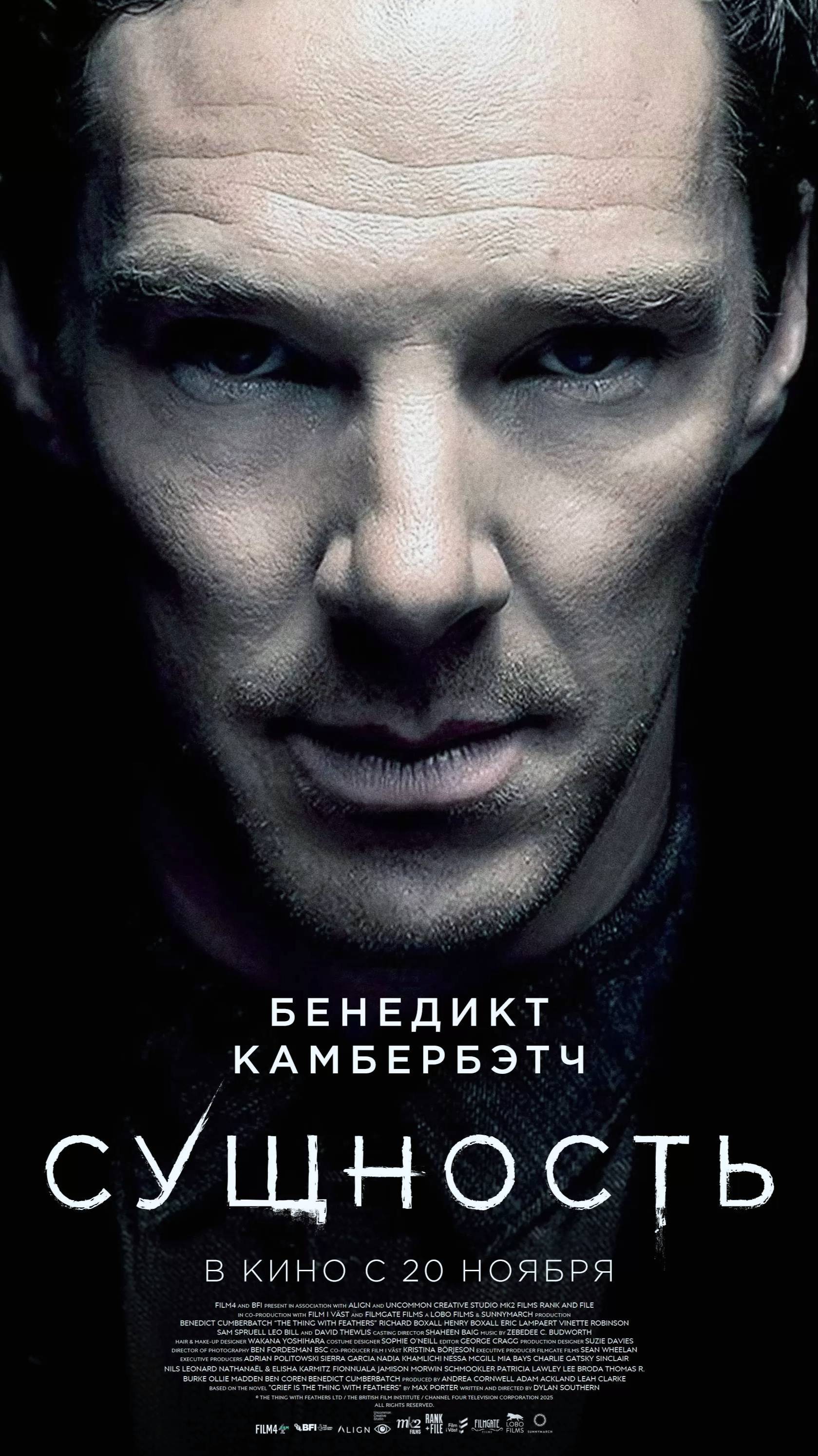 Сущность  The Thing With Feathers