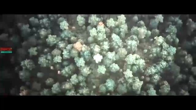 Фильм Август смотреть онлайн в хорошем качестве - Полностью (2025)